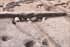 FileNo.215-206.jpg