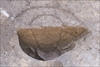 FileNo.215-207.jpg