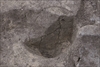 FileNo.215-209.jpg