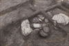 FileNo.215-211.jpg