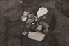FileNo.215-212.jpg