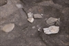 FileNo.215-214.jpg