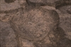 FileNo.215-215.jpg