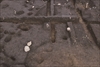 FileNo.215-217.jpg