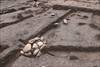 FileNo.215-222.jpg