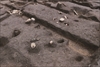 FileNo.215-223.jpg