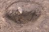 FileNo.215-226.jpg
