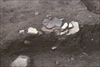FileNo.215-227.jpg