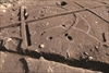FileNo.215-228.jpg