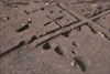 FileNo.215-233.jpg