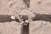 FileNo.215-234.jpg
