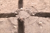 FileNo.215-235.jpg