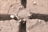 FileNo.215-236.jpg
