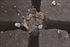 FileNo.215-238.jpg
