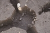 FileNo.215-241.jpg