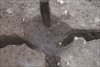 FileNo.215-242.jpg