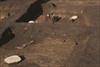 FileNo.215-250.jpg