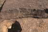 FileNo.215-251.jpg