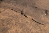 FileNo.215-254.jpg
