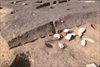 FileNo.215-255.jpg