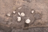 FileNo.215-256.jpg