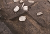 FileNo.215-257.jpg
