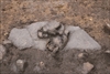 FileNo.215-261.jpg