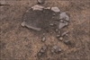 FileNo.215-269.jpg