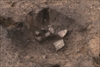 FileNo.215-275.jpg