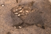 FileNo.215-276.jpg