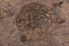 FileNo.215-277.jpg