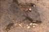 FileNo.215-278.jpg