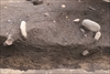FileNo.215-295.jpg