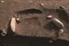 FileNo.215-296.jpg