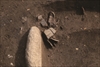 FileNo.215-297.jpg