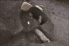 FileNo.215-299.jpg