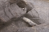 FileNo.215-300.jpg
