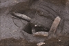 FileNo.215-301.jpg