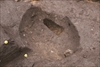 FileNo.215-302.jpg