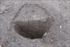 FileNo.215-306.jpg