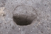 FileNo.215-307.jpg