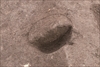 FileNo.215-310.jpg