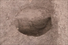 FileNo.215-311.jpg