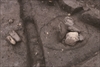 FileNo.215-314.jpg