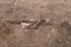 FileNo.215-315.jpg