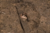 FileNo.215-316.jpg