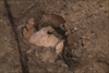 FileNo.215-317.jpg