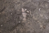 FileNo.215-319.jpg