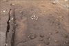 FileNo.215-322.jpg