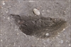 FileNo.215-324.jpg